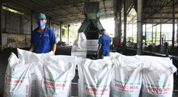 Những bước đi chiến lược của ngành cao su (*): Xanh hóa chuỗi hành trình