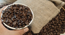 Giá cà phê hôm nay 18-7: Lao dốc, thị trường trồi sụt  thất thường