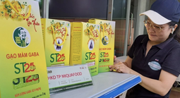 Tin vui đến với gạo ST25 ở Cần Thơ