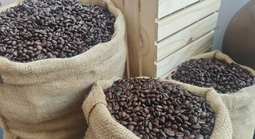 Giá cà phê hôm nay 4-7: Robusta tăng, Arabica giảm, Việt Nam xuất khẩu lập kỷ lục khó tin