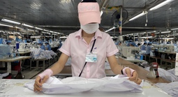 Chậm đóng BHXH quá hạn bao lâu sẽ bị coi là trốn đóng?