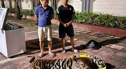 Hà Tĩnh: Triệt phá nhiều vụ buôn lậu, vận chuyển hàng cấm