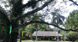 Nơi ghi dấu mùa thu lịch sử