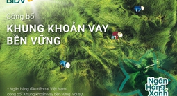 BID vào Top 20 cổ phiếu phát triển bền vững nhất Việt Nam lần thứ 2 liên tiếp