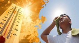 Thực hư thông tin "nhiệt độ tăng 1°C, đột quỵ tăng 10%"