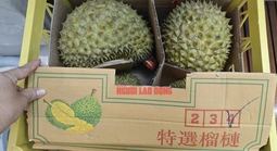 Sầu riêng quay đầu từ Trung Quốc sẽ phải kiểm vàng O trước khi tiêu thụ