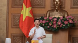 Phó Thủ tướng chỉ đạo về quản lý giá điện, xăng dầu
