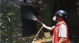 Trung Quốc "dốc toàn lực" dập dịch Chikungunya