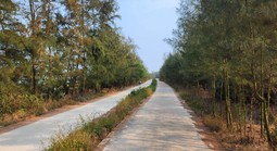 9 người bị khởi tố trong vụ đường ven biển 3,8 tỉ bị 'rút ruột' hơn 1 tỉ