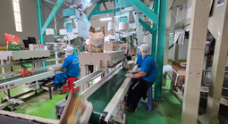 Xuất khẩu gạo không suôn sẻ