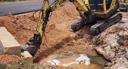 Hàng loạt xác heo chết bị vứt bừa bãi ra môi trường ở Quảng Trị