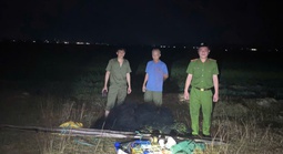 Bí mật sau tiếng chim lạ giữa cánh đồng Tân Gianh lúc đêm khuya