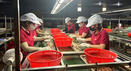 Tăng sức cạnh tranh cho doanh nghiệp Việt