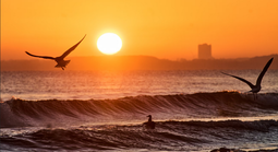 Đại dương thế giới lập kỷ lục đáng lo