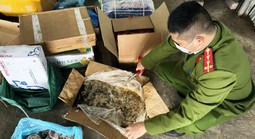 Thực phẩm bẩn liên tiếp bị phanh phui