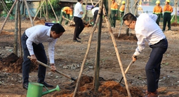 TPHCM phát động trồng cây xanh nhân Ngày Cây xanh Việt Nam