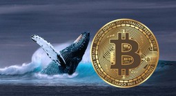 Thị trường tiền số hôm nay, 11-1: "Cá voi" Bitcoin bất ngờ quay xe