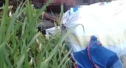 TPHCM: Tìm người thân của thi thể được phát hiện gần trạm thu phí cầu Phú Mỹ