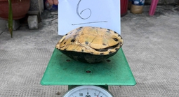 Công an TPHCM bắt giữ nhóm người lẻn vào chùa trộm cắp