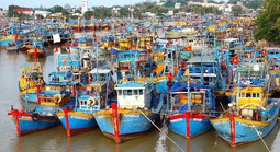 Thủ tướng chỉ đạo lập đoàn kiểm tra chống IUU, Bộ Công an điều tra dứt điểm vụ lô hàng cá cờ kiếm