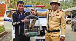 CSGT đang đi tuần, bất ngờ được người dân giao nộp động vật quý hiếm