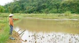 Hỗ trợ bèo bọt, làm đường cẩu thả