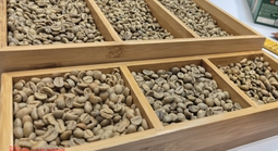 Giá cà phê hôm nay 15-1: Robusta ồ ạt ra thị trường