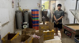 Bên trong các cơ sở chế biến thịt nai, dê, nhím, đà điểu giả ở TPHCM