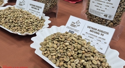 Giá cà phê hôm nay 16-1: Tăng 4 phiên liên tục, Robusta vượt mốc 4.000 USD/tấn