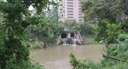 Hơn 30 thi thể vớt từ sông rạch Houston, gây lo ngại về kẻ giết người hàng loạt