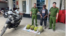 Tuần tra lúc rạng sáng, công an bắt giữ 3 đối tượng trộm 6 trái mít Thái