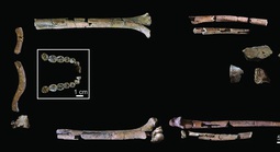 Lộ diện bộ hài cốt cổ xưa nhất của "loài người thực thụ"