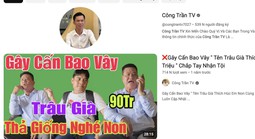 Thông tin nổi bật tại TPHCM ngày 2-1: Một người ngừng tim khi đang chơi cầu lông; 1 YouTuber bị bắt