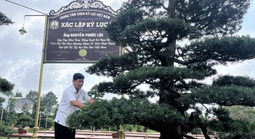 Tròn mắt trước một "bảo tàng bonsai" ở miền Tây