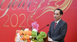 Phát huy vai trò tiên phong, nhiệm vụ trọng yếu, thường xuyên của đối ngoại