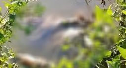 Phát hiện thi thể thiếu nữ với vết thương trên cổ