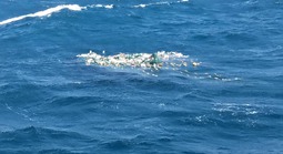 Khánh Hòa: Tàu cá cùng 8 ngư dân mất tích hơn 10 ngày