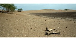 Cảnh báo mới về khủng hoảng nước