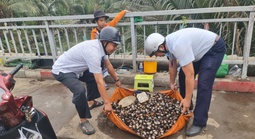 Xử lý liên tục để tránh tình trạng lực lượng chức năng rời đi rồi tái lấn chiếm