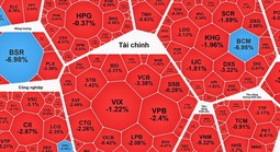 Chứng khoán ngày 23-1: Cổ phiếu trụ kéo thị trường giảm mạnh