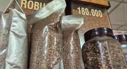 Giá cà phê hôm nay 23-1: Lại đi lùi, mong manh mốc 100.000 đồng/kg