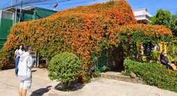 Căn nhà đang "nổi như cồn" ở Lâm Đồng