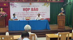 Nhiều nước muốn mua gạo thơm Việt Nam nhưng doanh nghiệp chưa xuất được