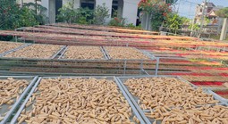 Bất ngờ về sản phẩm làng nghề mới nổi trên TikTok Shop mùa Tết