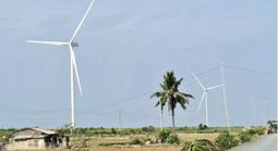 Nhiều doanh nghiệp muốn đầu tư hàng loạt dự án điện gió ở Cần Thơ