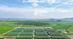 Hệ sinh thái nông nghiệp tuần hoàn "độc đáo"