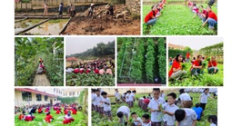 Sắp trao Giải thưởng Trường học sinh thái ASEAN 2025: Không rác thải nhựa