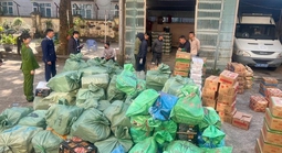 Bắt giữ gần 4 tấn thực phẩm không rõ nguồn gốc tại vùng biên