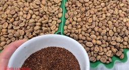 Giá cà phê hôm nay 28-1: Tăng nóng