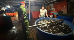 Bất an với thực phẩm bẩn